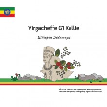 Yirgacheffe G1 Kallie (Washed)
