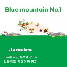 [자메이카] Blue mountain No.1