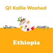 [에티오피아] Q1 KALLIE Washed