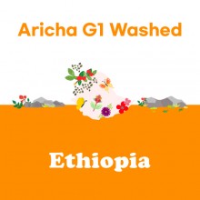 [에티오피아] Aricha G1 Washed